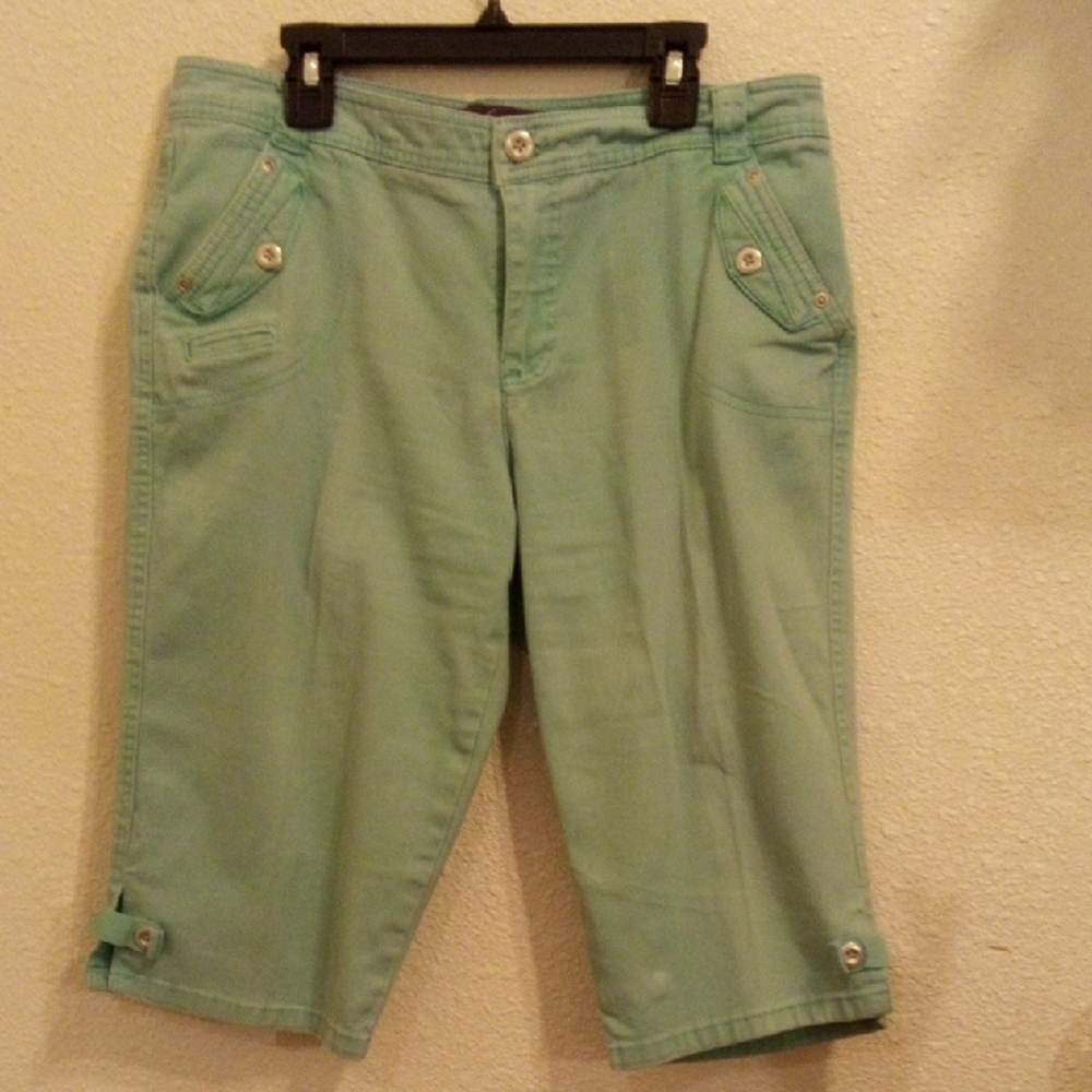 Gloria Vanderbilt Light Green Pants